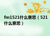 fm1521什么意思（521什么意思）