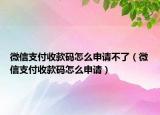 微信支付收款碼怎么申請(qǐng)不了（微信支付收款碼怎么申請(qǐng)）