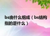 bs由什么組成（bs結(jié)構(gòu)指的是什么）