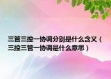 三管三控一協(xié)調(diào)分別是什么含義（三控三管一協(xié)調(diào)是什么意思）