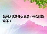 歐洲人吃矛什么意思（什么叫歐吃矛）