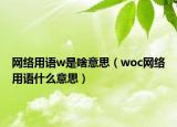 網(wǎng)絡(luò)用語(yǔ)w是啥意思（woc網(wǎng)絡(luò)用語(yǔ)什么意思）