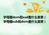 字母圈dom和sud是什么意思（字母圈sub和dom是什么意思）