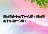 螞蟻競走十年了什么梗（螞蟻競走十年啦什么梗）