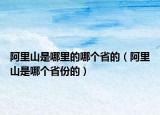 阿里山是哪里的哪個省的（阿里山是哪個省份的）