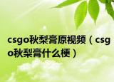 csgo秋梨膏原視頻（csgo秋梨膏什么梗）