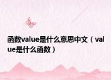 函數(shù)value是什么意思中文（value是什么函數(shù)）