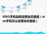 VIVO手機如何設(shè)置動態(tài)壁紙（vivo手機怎么設(shè)置動態(tài)壁紙）