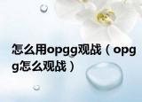 怎么用opgg觀戰(zhàn)（opgg怎么觀戰(zhàn)）