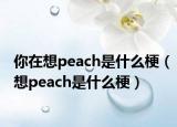 你在想peach是什么梗（想peach是什么梗）