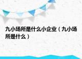 九小場所是什么小企業(yè)（九小場所是什么）