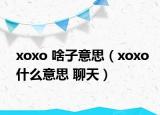 xoxo 啥子意思（xoxo什么意思 聊天）