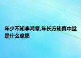 年少不知李鴻章,年長方知真中堂是什么意思