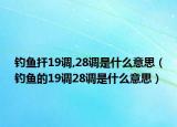 釣魚捍19調(diào),28調(diào)是什么意思（釣魚的19調(diào)28調(diào)是什么意思）