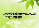 白色污染的成因是什么,2021年十二月五號(hào)的答案