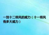 一到十二級(jí)風(fēng)的威力（十一級(jí)風(fēng)有多大威力）