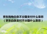 京東購物白條不分期支付什么意思（京東白條支付不分期什么意思）