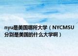 nyu是美國哪所大學（NYCMSU分別是美國的什么大學啊）