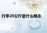 行李20公斤是什么概念