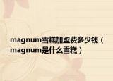 magnum雪糕加盟費(fèi)多少錢（magnum是什么雪糕）