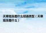 天寒地凍是什么短語類型（天寒地凍是什么）