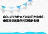 摩爾莊園有什么不能說的秘密我們?nèi)喨鲇?xùn)練場問問亞撒長老吧