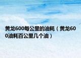 黃龍600每公里的油耗（黃龍600油耗百公里幾個油）