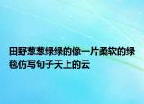 田野蔥蔥綠綠的像一片柔軟的綠毯仿寫句子天上的云