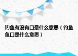 釣魚(yú)有沒(méi)有口是什么意思（釣魚(yú)魚(yú)口是什么意思）