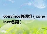 convince的詞組（convince名詞）