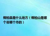 桐柏縣是什么地方（桐柏山是哪個省哪個市的）