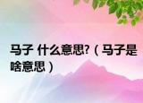 馬子 什么意思?（馬子是啥意思）