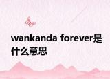 wankanda forever是什么意思