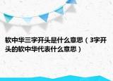 軟中華三字開頭是什么意思（3字開頭的軟中華代表什么意思）