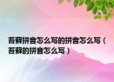 苔蘚拼音怎么寫的拼音怎么寫（苔蘚的拼音怎么寫）