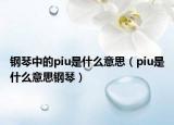 鋼琴中的piu是什么意思（piu是什么意思鋼琴）