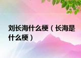 劉長海什么梗（長海是什么梗）