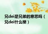 兄dei是兄弟的意思嗎（兄dei什么梗）