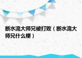 斷水流大師兄被打?。〝嗨鞔髱熜质裁垂＃? /></span></a>
                        <h2><a href=