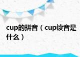 cup的拼音（cup讀音是什么）