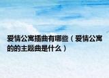 愛情公寓插曲有哪些（愛情公寓的的主題曲是什么）