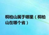 桐柏山屬于哪里（桐柏山在哪個省）