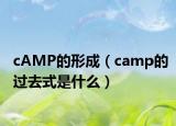 cAMP的形成（camp的過去式是什么）