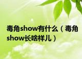 毒角show有什么（毒角show長啥樣兒）