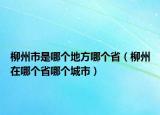 柳州市是哪個(gè)地方哪個(gè)?。菰谀膫€(gè)省哪個(gè)城市）