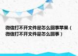 微信打不開(kāi)文件是怎么回事蘋果（微信打不開(kāi)文件是怎么回事）