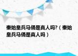 秦始皇兵馬俑是真人嗎?（秦始皇兵馬俑是真人嗎）