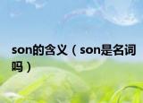 son的含義（son是名詞嗎）