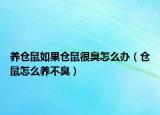 養(yǎng)倉鼠如果倉鼠很臭怎么辦（倉鼠怎么養(yǎng)不臭）