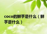 coco的鮮芋是什么（鮮芋是什么）